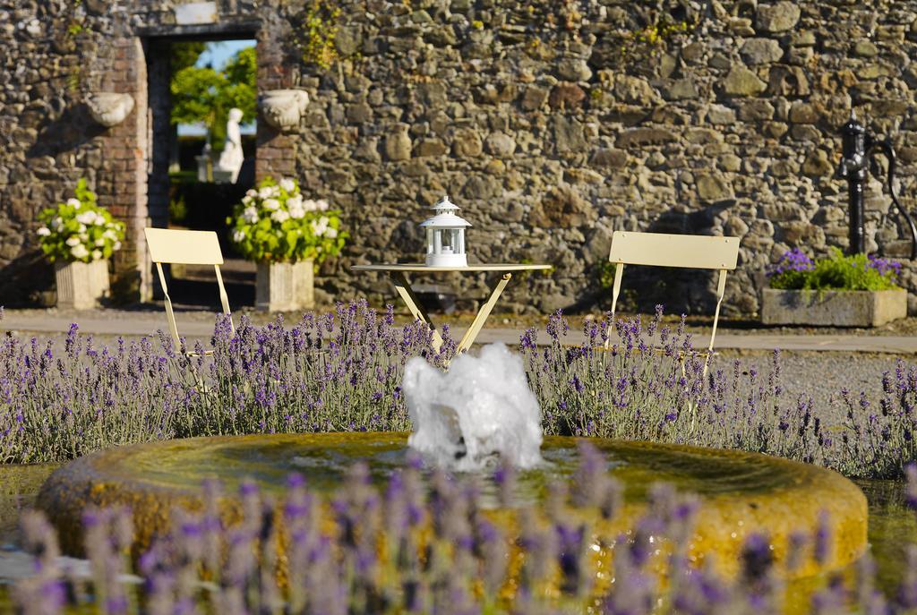Tankardstown House Hotel Slane Eksteriør billede