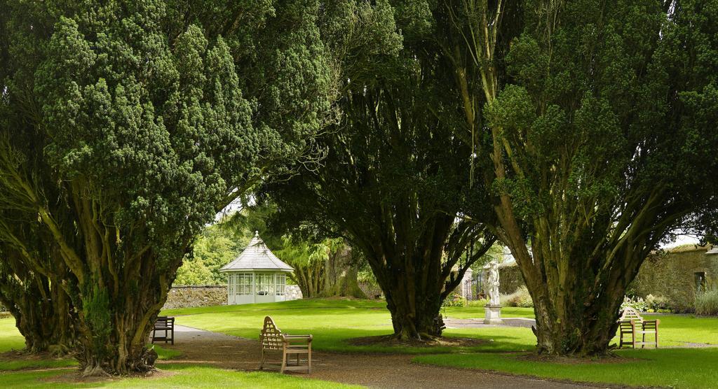 Tankardstown House Hotel Slane Eksteriør billede